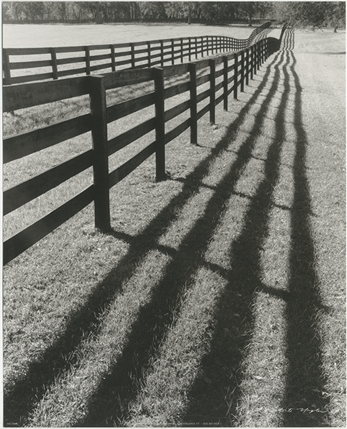 Fences and Shadows, Florida