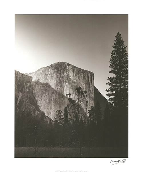 El Capitan in Trees