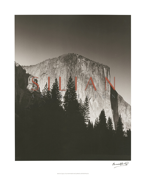 El Capitan in Shadow