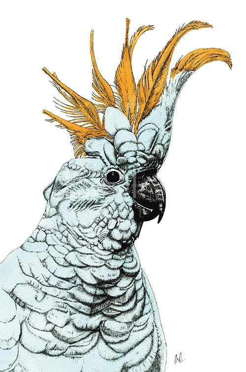 Tropical Parrot Ⅳ