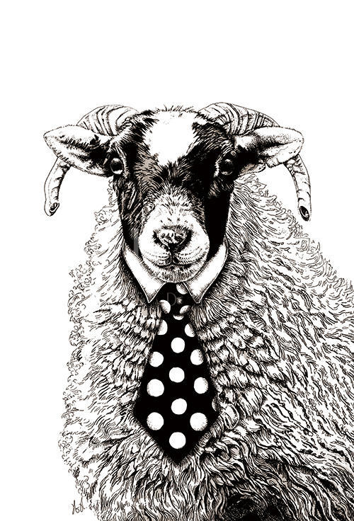 Mr. Sheep