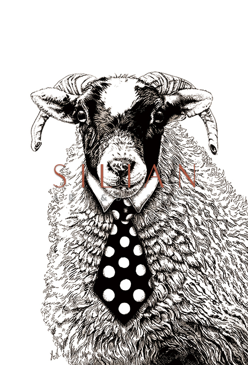 Mr. Sheep