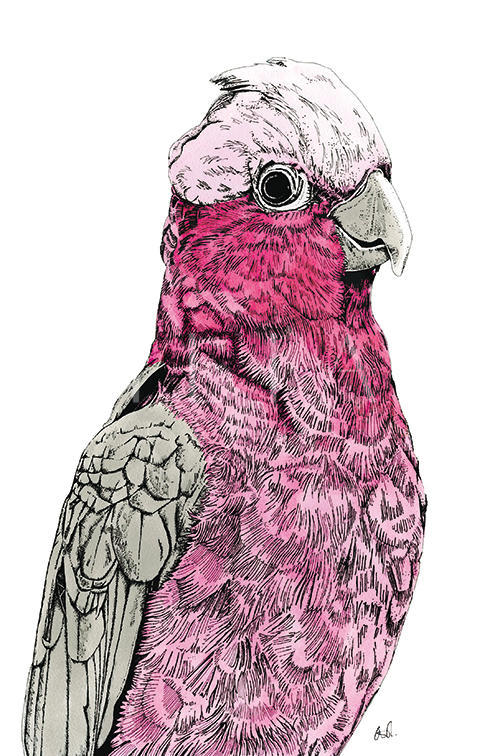 Tropical Parrot Ⅴ