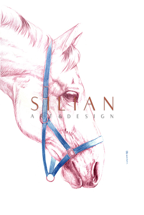 Horse Portrait Ⅱ