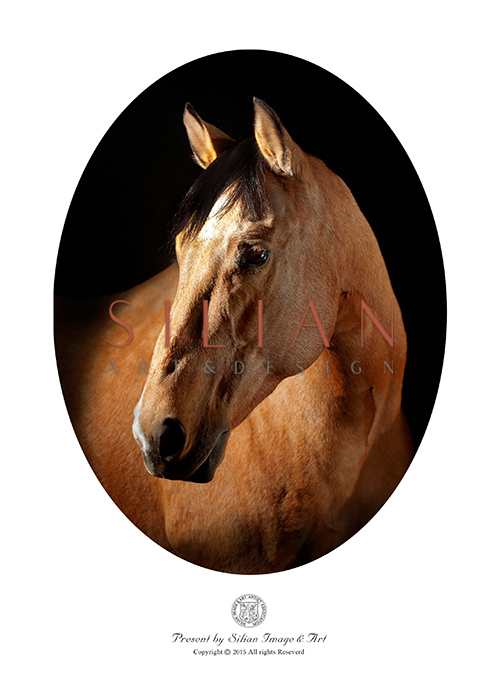 Horse Head Ⅱ