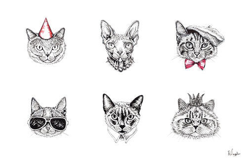 Cat II