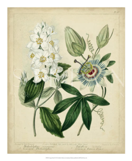 Cottage Florals II