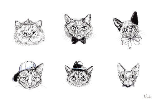 Cat IV