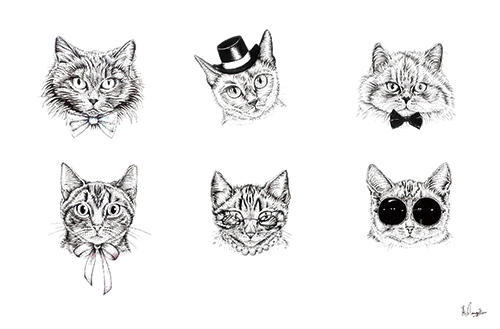 Cat I