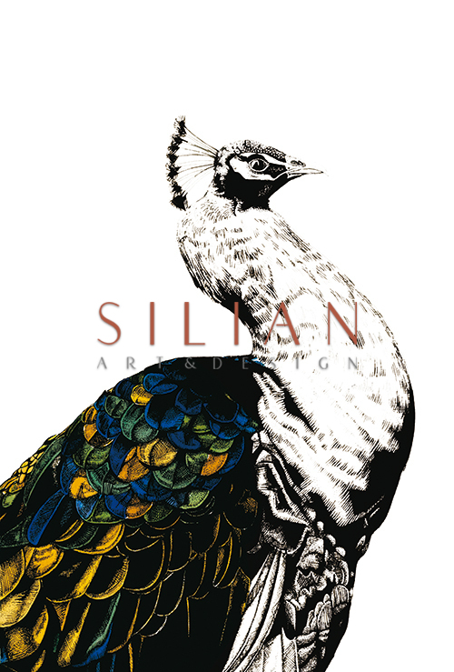 Gilded Peacock Ⅵ