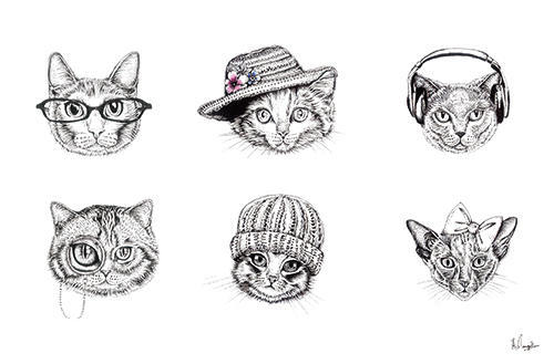 Cat III