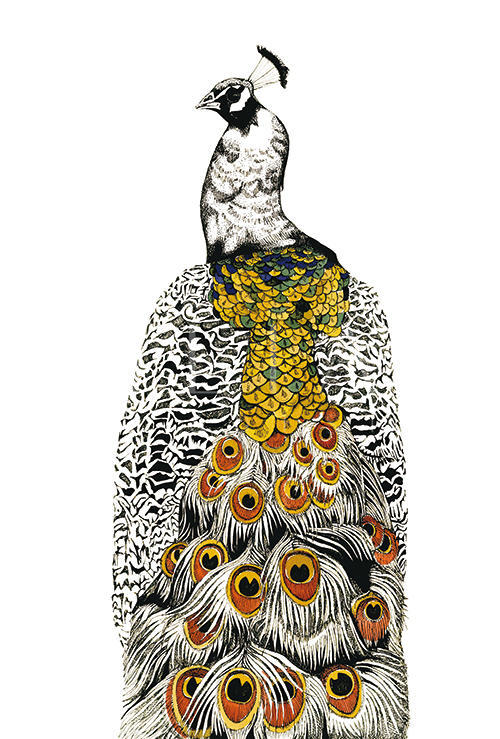 Gilded Peacock Ⅲ