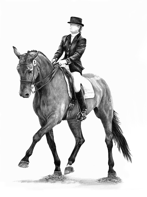 New Equine Dressage Drawing