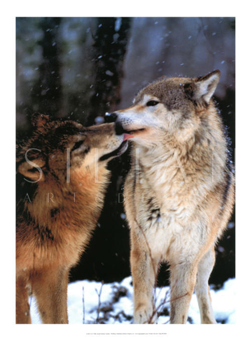 Kiss