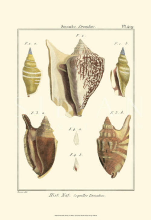 Pyrule Shells II