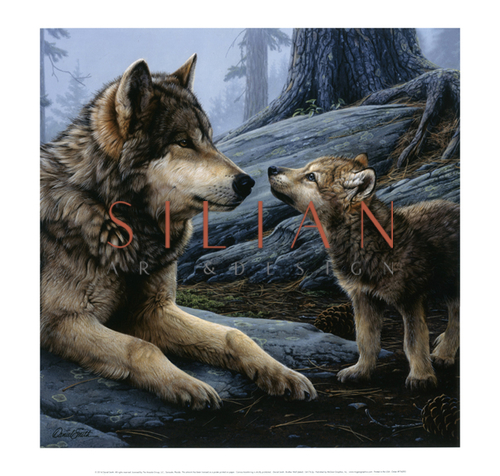 Brother Wolf 