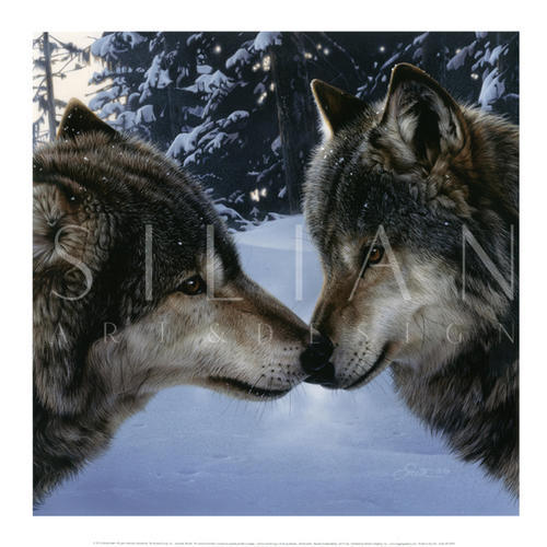 Brother Wolf 