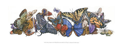 Wings of Splendor II