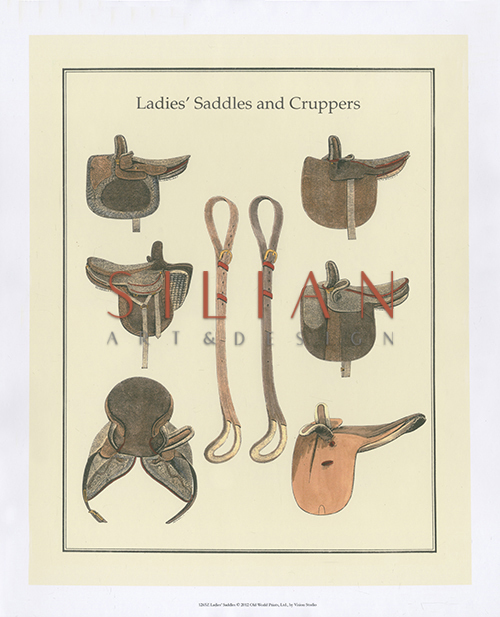 Ladies Saddles