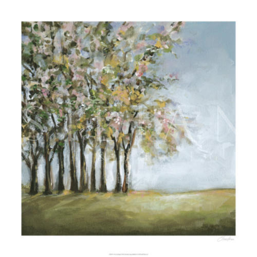 Tree in Spring