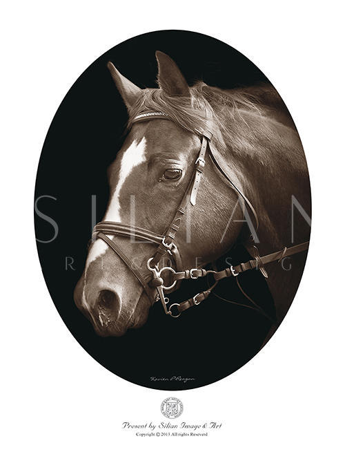 Practical Horse Keeper