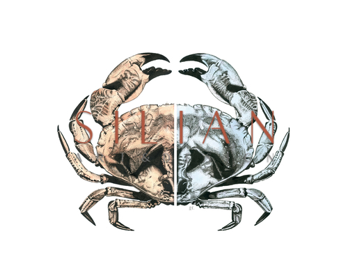 Marine Life Combination Chart  IV