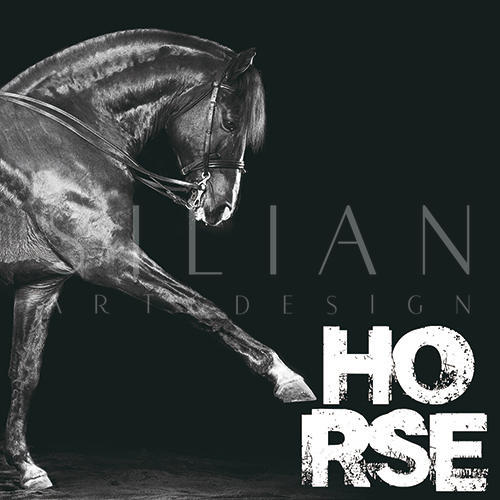 B&W Horse I