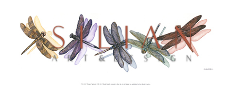 Wings of Splendor I