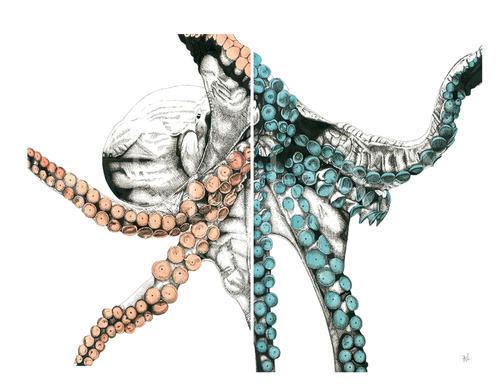 Marine Life Combination Chart II