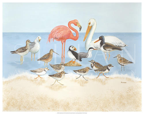 Seabird Summit 