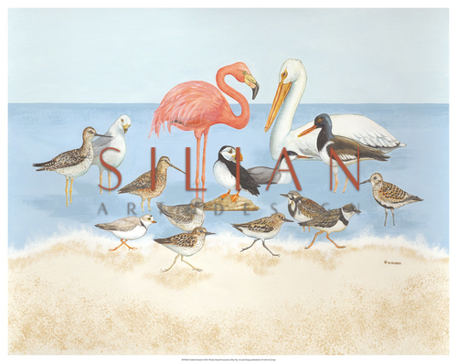 Seabird Summit 