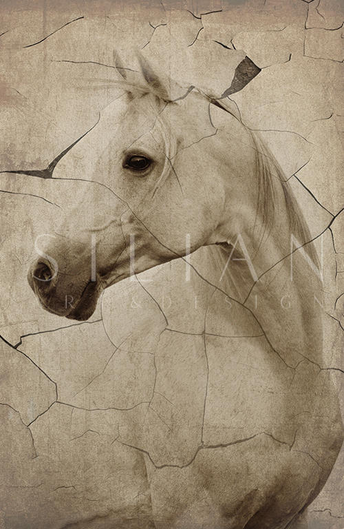 Rustic Horse I