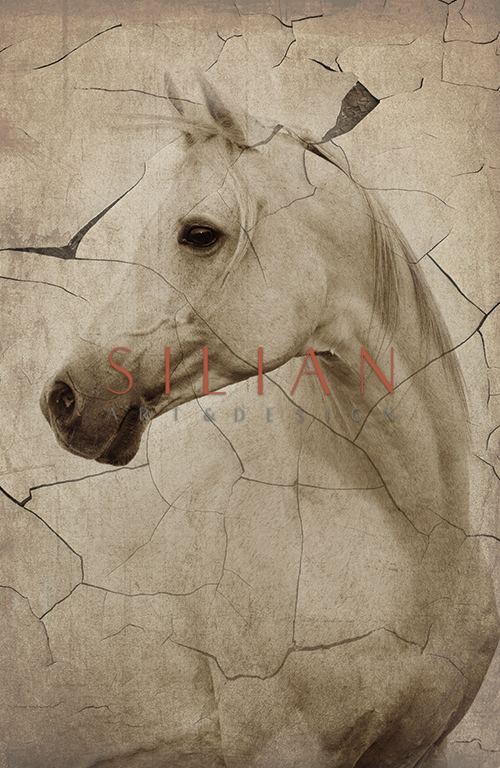 Rustic Horse I