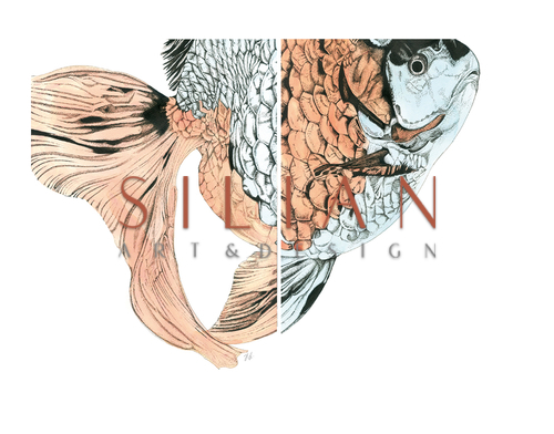 Marine Life Combination Chart  III