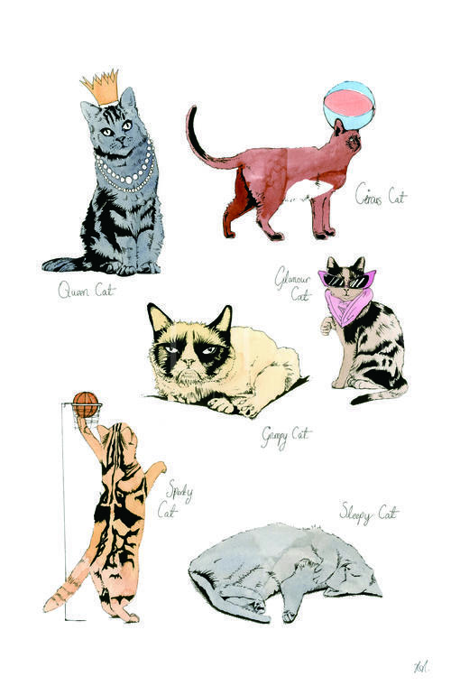 Cat Portrait II