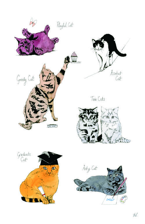 Cat Portrait VI