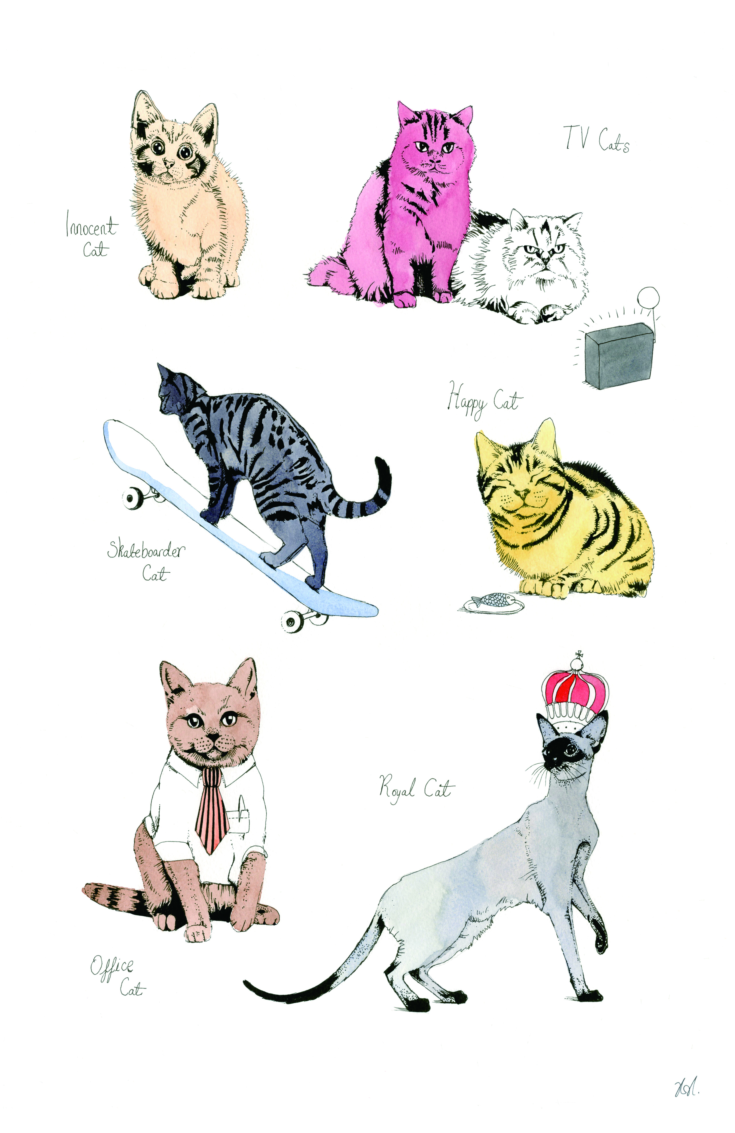 Cat Portrait  IV