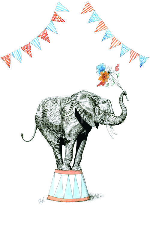 Elephants of Play Wheelbarrow V