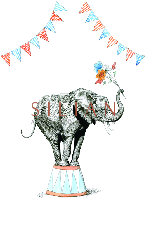 Elephants of Play Wheelbarrow V