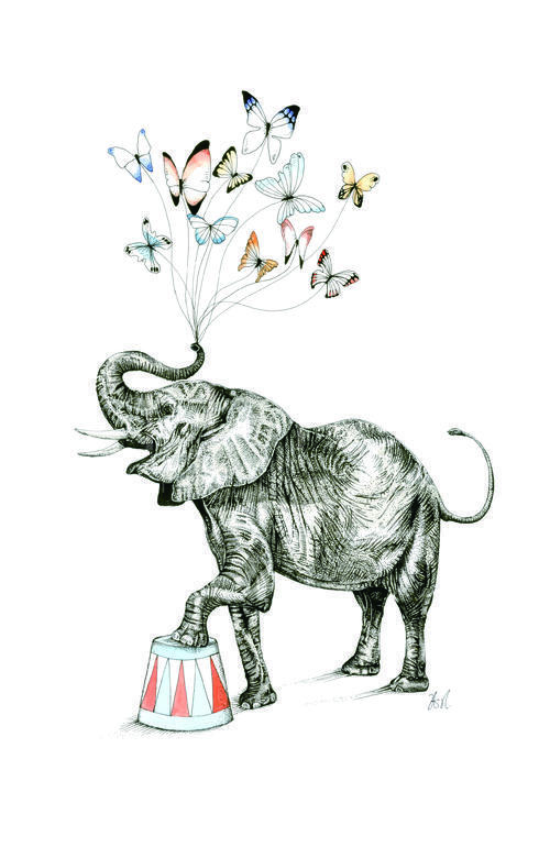 Elephants of Play Wheelbarrow IV