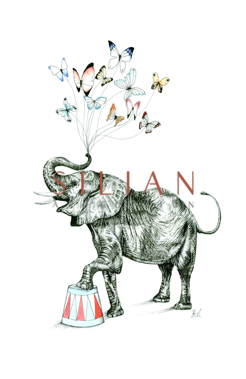 Elephants of Play Wheelbarrow IV