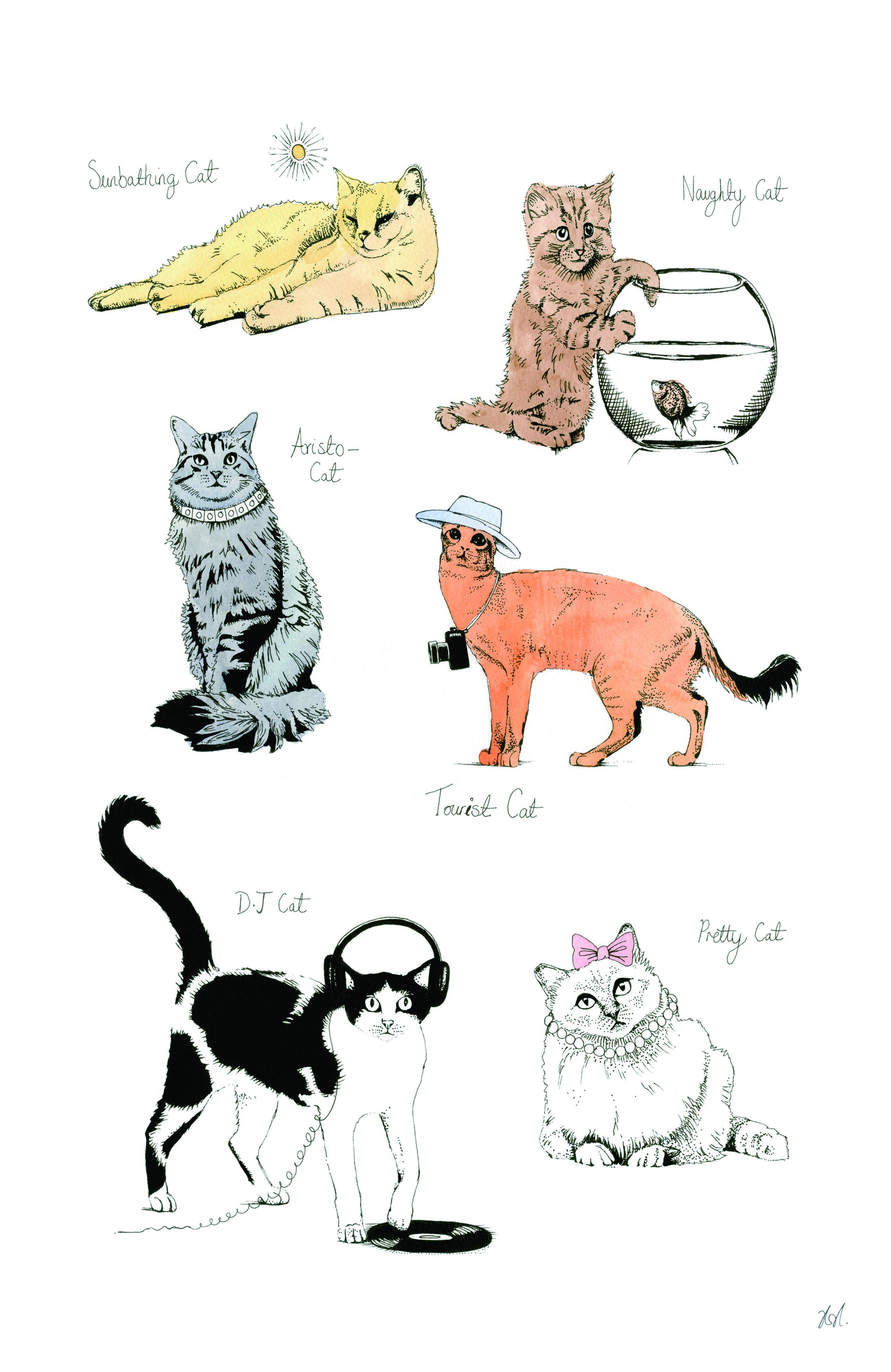 Cat Portrait  V