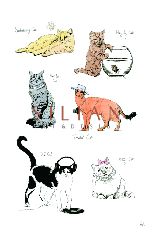 Cat Portrait  V
