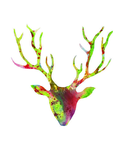 Dear Deer