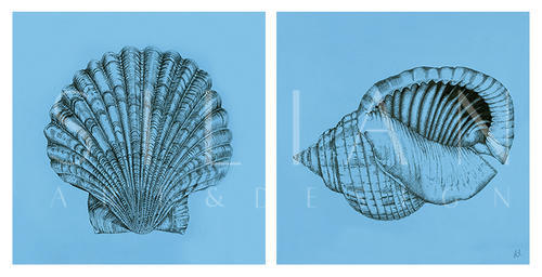 Shell I