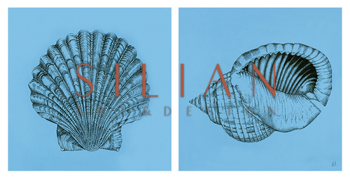 Shell I