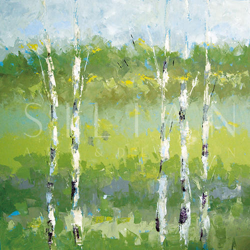 Spring Birches