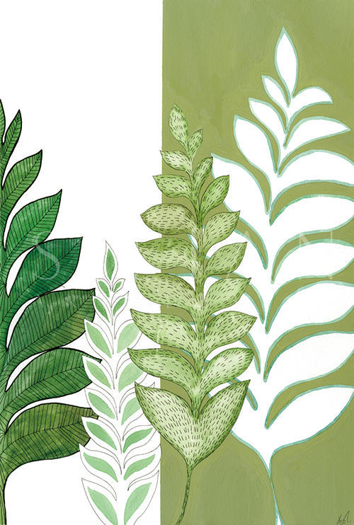 Leaf Study Ⅰ
