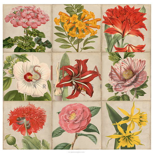 Vintage Flower Grid