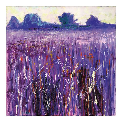 Purple Fields